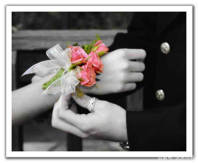 小狗的萌萌哒英文名字:给你的毛小孩找一个独特又可爱的名字